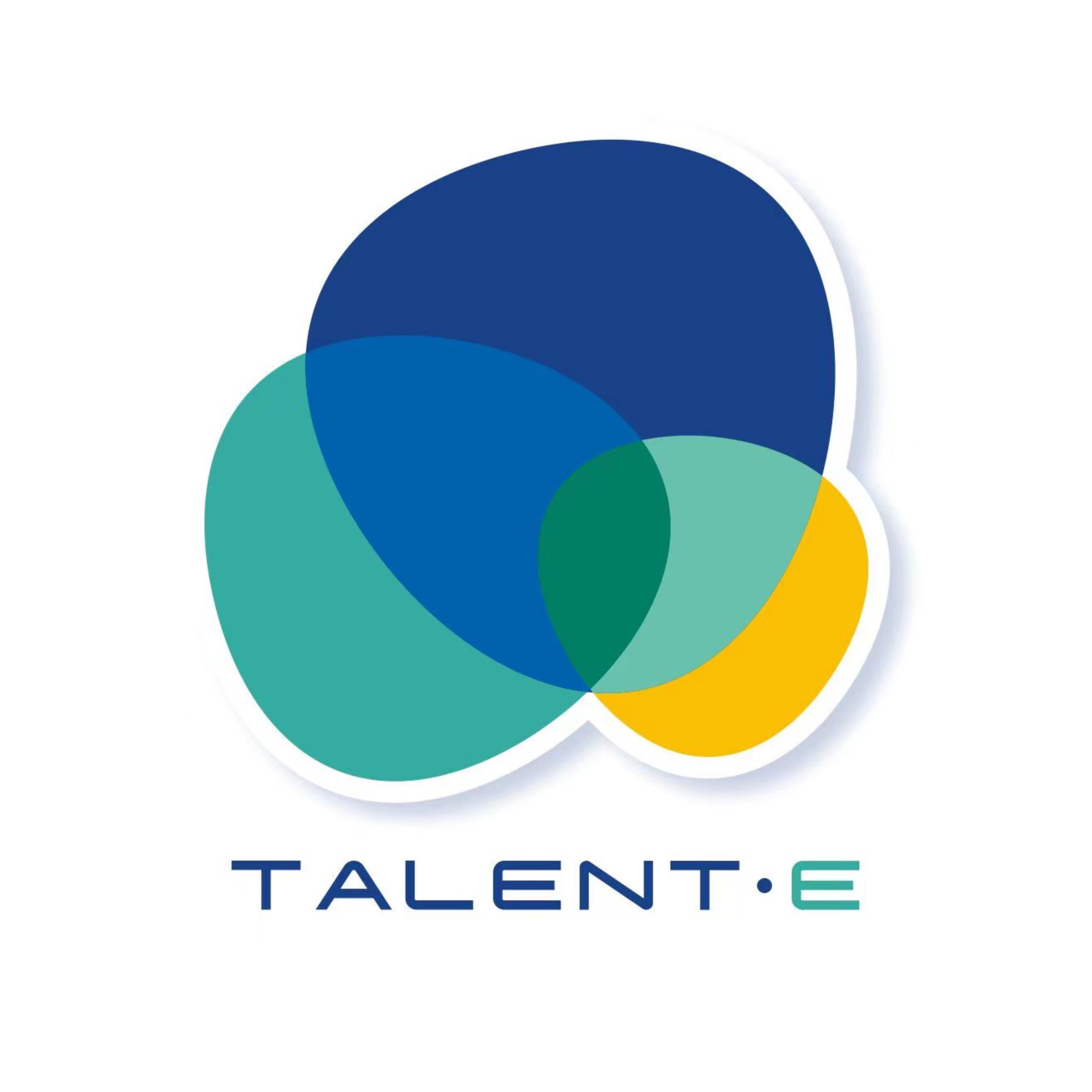 Talent-E Education logo