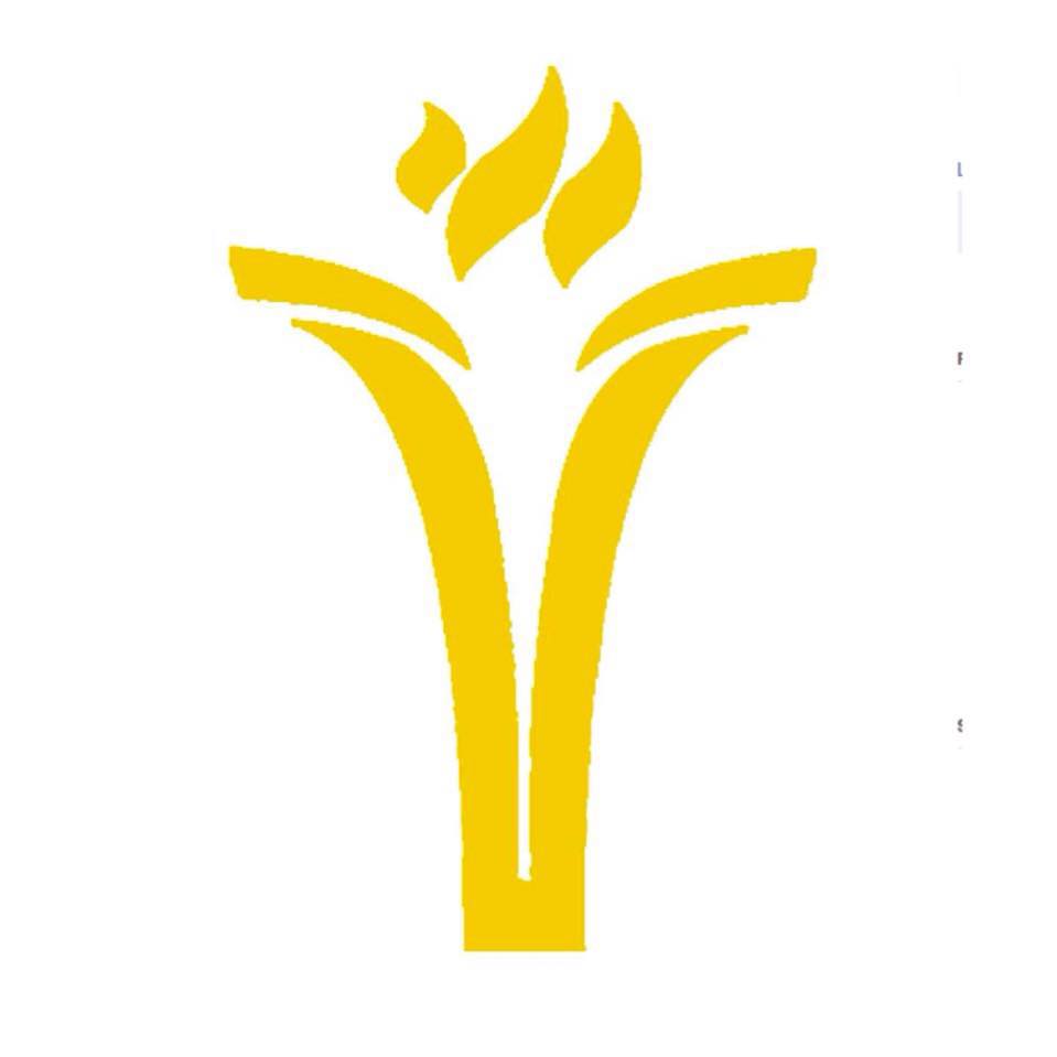 Trinity International School logo