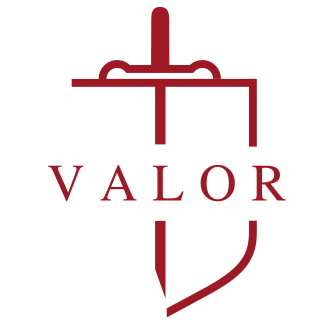 Valor International Scholars logo
